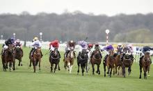 Reappearing horses: Which yards to back and when