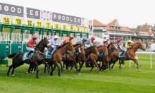 How Timeform handicaps horses