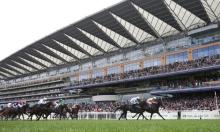 Hot To Trot: Crisford runner has a big Chance