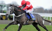 Hot To Trot: Dan's the man