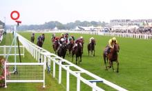 Ratings Update: Rest of Royal Ascot