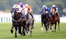 July Cup Preview: A fine Advert for classic generation