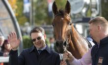 Ratings Update: Magna looks a miler in the making