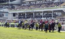 Rowleyfile Preview: Crabbie’s Grand National 2016