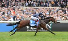 Dewhurst Stakes 2016: All Points to Blue at Newmarket