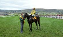 Cheltenham Festival Ratings Update: Grade 1 Championship Races