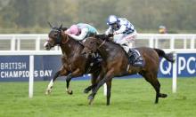 Hot to Trot: King Keith can reach new personal best