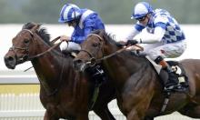 Rowleyfile Preview: Duke of Edinburgh Handicap 2016