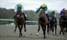 All-Weather Finals Day preview: Levey set for Marathon win