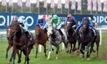 Champion Stakes Preview: Roy can land Barn-storming contest