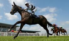 Ratings Update: Alpha will only get beta