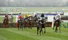 Hot To Trot: King Dare Win