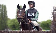 Betfair Tingle Creek Chase Preview: Altior an unstoppable force