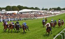 Timefigure review: Investec Derby Festival