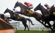 Three rising stars of the National Hunt world