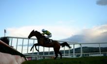 Five to Follow at Punchestown: Right said Ted