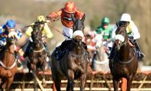 Rowleyfile Preview: Scottish Champion Hurdle
