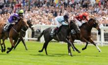 Sectional Debrief: Royal Ascot 2016 Day Two