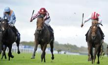 Ratings Update: British Champions Day 2016