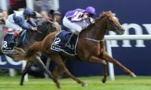 Ratings Update: Epsom Derby meeting