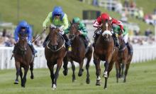 Rowleyfile Preview: Northumberland Plate