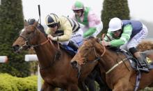 Hot to Trot: Easterby to continue the Magic at Southwell