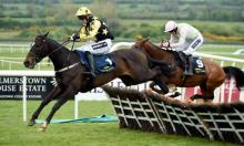 Champion Stayers Hurdle Preview: Bacardys the tip-ple