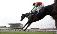 Hot to Trot: King for a day