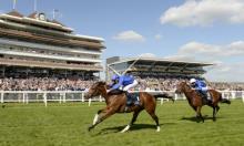 Greenham Stakes Preview: Hello can say goodbye to his rivals