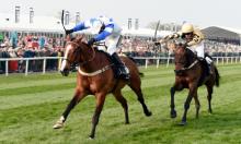 Hot To Trot: Henry hoovering up