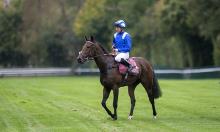 Arc Day Preview: Four things to watch away from the main event