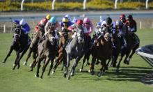 Rowleyfile Preview: Breeders' Cup 2016 