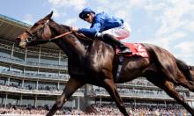 Dante Preview: Ghaiyyath has the right profile