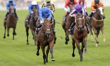 Rowleyfile Preview: 2018 Ascot Stakes