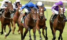 Ratings Update:  Cambridgeshire Meeting