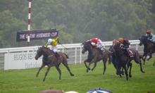 Sectional Timing Preview: Qatar Goodwood Festival