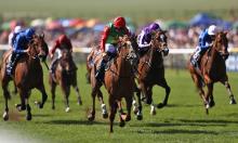 1000 Guineas Preview: Daddy's girls set for classic showdown