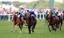 Ratings Update: Royal Ascot Group 1s