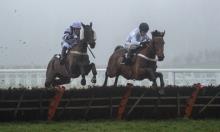 The sires whose runners have a good record on heavy ground