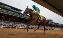 Preakness Stakes Preview: Sailor has sporting chance