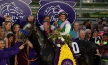 How ratings can help to evaluate “The Best Horse In The World”