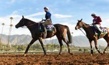 Saratoga Preview: Follow the Proctor 