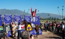 Breeders' Cup: The European contingent 