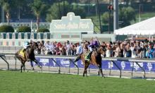 Belmont Derby Preview: O'Brien hunting for success