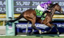 Arlington Million: Deauville can deliver for O'Brien