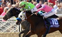 Preakness Stakes Preview: Owendale an each-way play