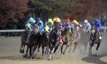 Belmont Stakes: Tap can turn on the style for Pletcher