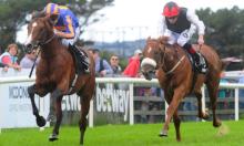 Irish Sunday Preview: Broome looks a real pearler