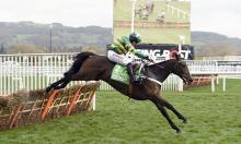 Jamie Lynch's jumps season review: The English Premier League