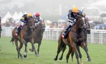 Hot To Trot: Dream of Wokingham glory